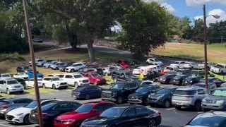 Lot photo for Festival & City Events